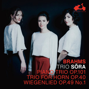Horn Trio in E-Flat Major, Op. 40 (Version for Piano Trio) - II. Scherzo