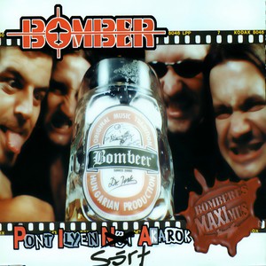 P.I.S.A. (Pont Ilyen Sört Akarok)