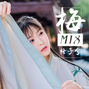 格子兮 - 梅 (DJ版)