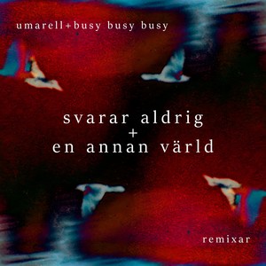 Svarar aldrig (Tolvtumsremix)