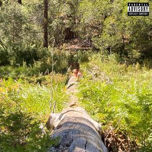 porch (feat. FELIX! & Left at London) (Explicit)