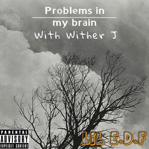 Problems in my brain (feat. Wither J) [Explicit]