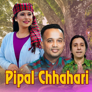 Pipal Chhahari