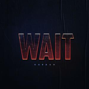 Wait (Explicit)