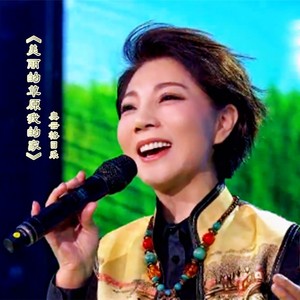 美丽的草原我的家 (Live)封面