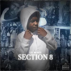 Section 8