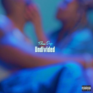 Undivided (Explicit)