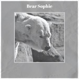 Bear Sophie