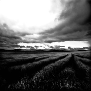 every moment of observing fills me with disgust