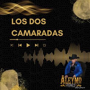 Los dos camaradas