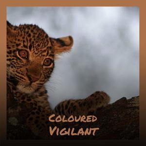 Coloured Vigilant