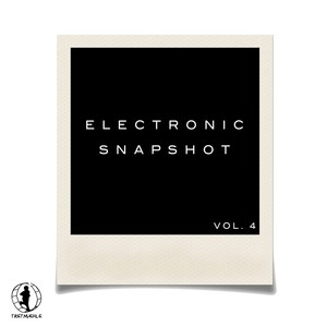 Electronic Snapshot, Vol. 4