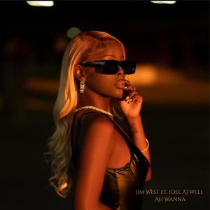 Ah Wanna (feat. Joel Atwell) (Explicit)