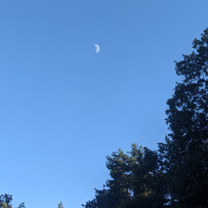 Luna de Día