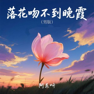 落花吻不到晚霞 (男版)