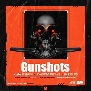 Gun Shots