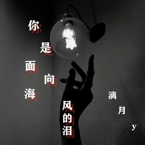 你是面向海风的泪