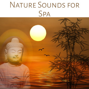 Nature Sounds for Spa: Relaxing Ambiences for Wellness, Massage and Reiki, New Age Music for Yoga, Meditation & Healing