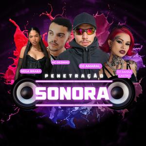 Penetração Sonora (feat. Dj Amaral, Solta A Putaria Porra!|Explicit)