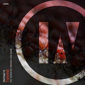 Termit (Gav Easby Remix)