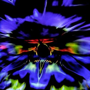 Humble2Long (Explicit)