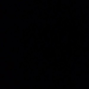 Texas Tea(feat. yp & bob) (Explicit)