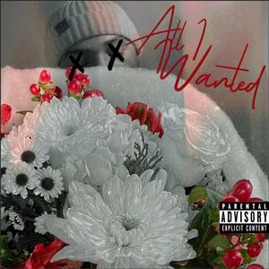 All I Wanted (Explicit)