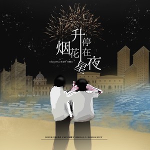 烟花升停在星夜