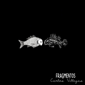 Fragmentos