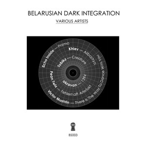 Belarusian Dark Integration