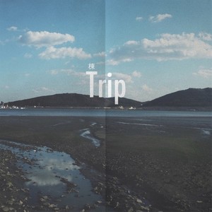 Trip