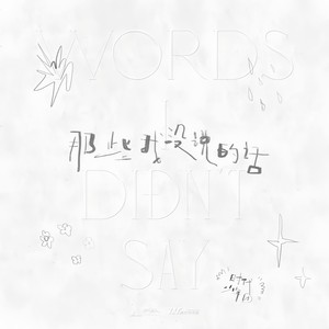 那些我没说的话