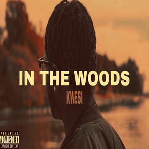 In The Woods (Explicit)