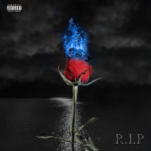 RIP (Explicit)