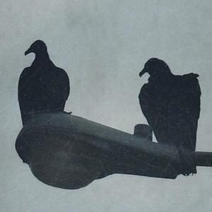 BIRDZ OF A FEATHER (Explicit)