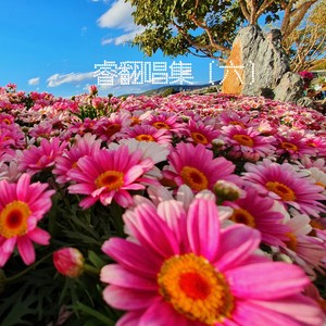 隔空投送封面