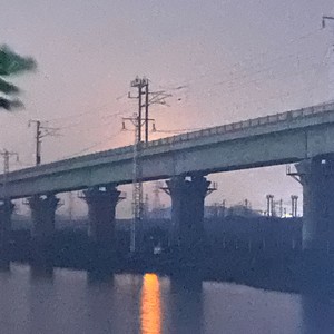 最后在认真的说声再见