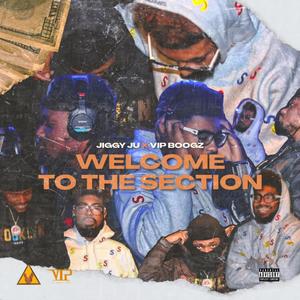 SKZ x VIP (Explicit)