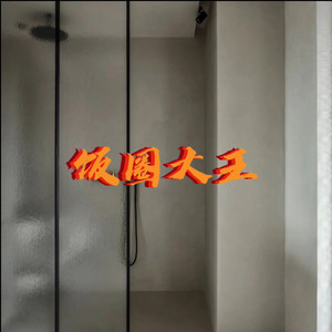 饭圈大王 (后生版)封面