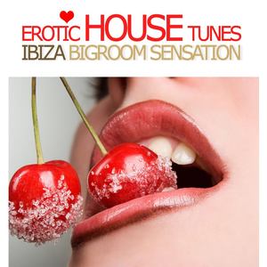 Erotic House Tunes, Vol. 1 - Ibiza Bigroom Sensation