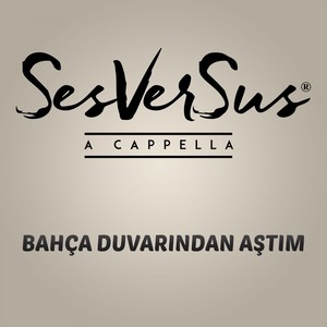 Bahça Duvarından Aştım