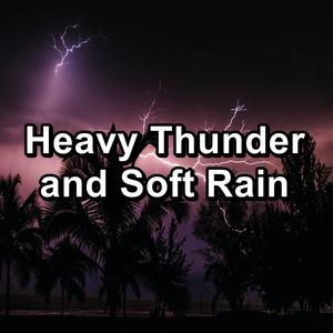 Heavy Thunder and Soft Rain