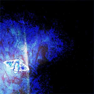 geekedddddd (㇏(•̀ᵥᵥ•́)ノ) (queervampiric x crysalis) (Explicit)