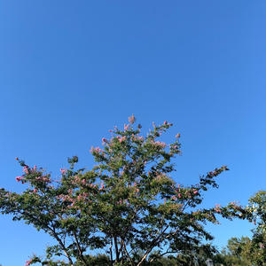 off track (feat. aftrr!) (Explicit)