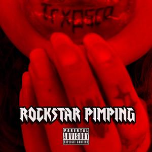 Rockstar PimPing (Explicit)
