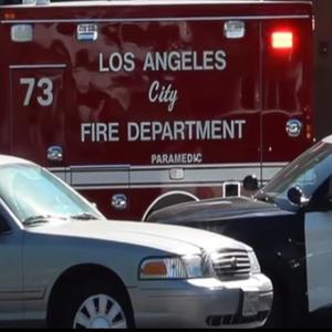 LadyDlow (Wicced Dastardly) (feat. Lil Dlow) (Explicit)