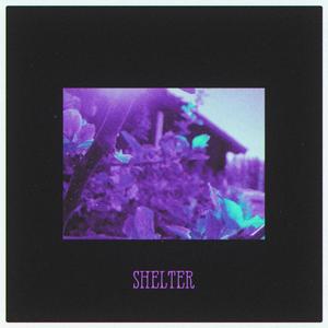 Shelter (Explicit)