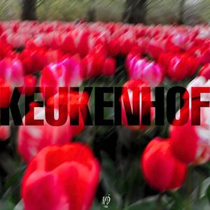 Keukenhof (Explicit)