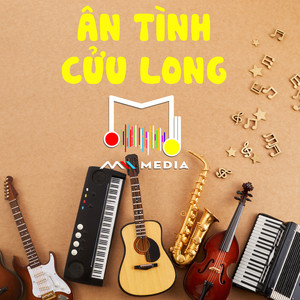 Ân Tình Cửu Long (Mii Remix)