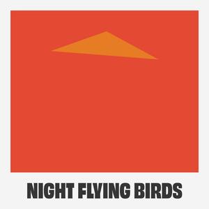 Night Flying Birds